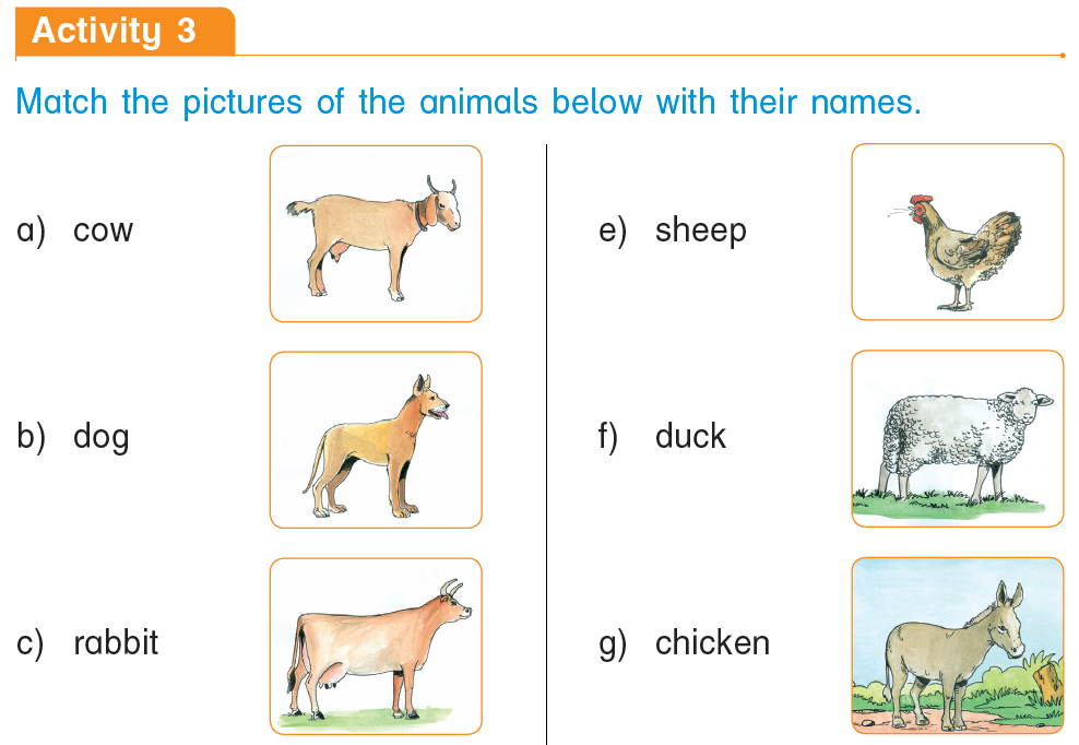 course-english-topic-unit-5-domestic-animals